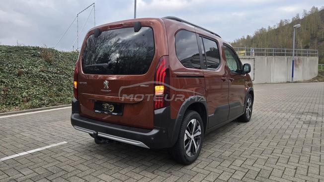 Avendre Rifer GTline