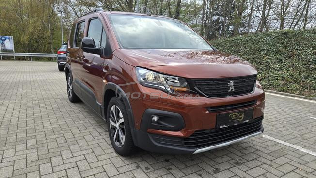 Avendre Rifer GTline