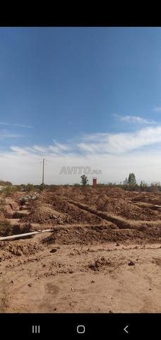 Terrain agricole route agadir-essaouira km6