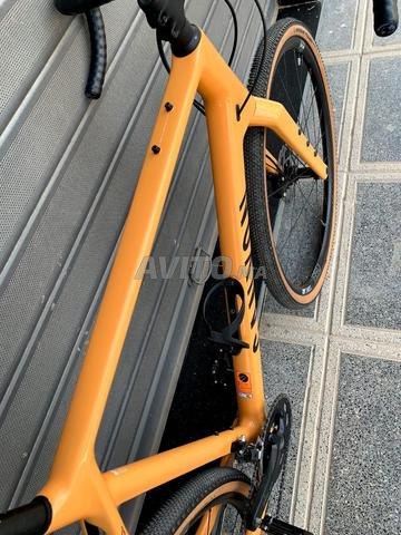 كانيون جريزل CF SL 2023 - 2