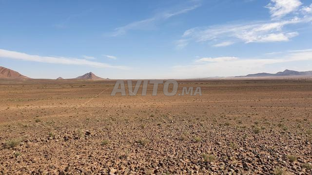  terrain agricole de 99 hectares  - 2