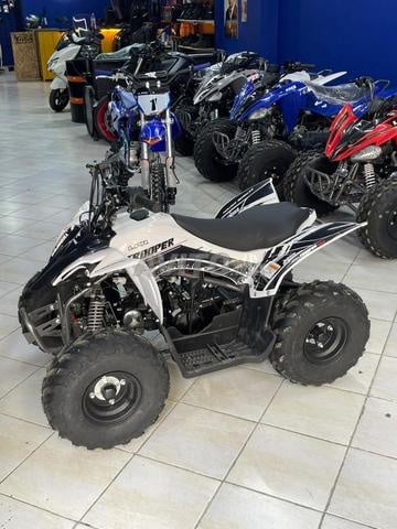 QUAD TROOPER 110R LPR POUR ENFANT 2026