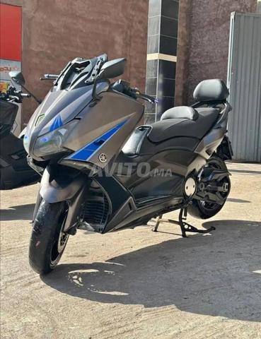 Tmax 530 جوهرة بدون أوراق - 2