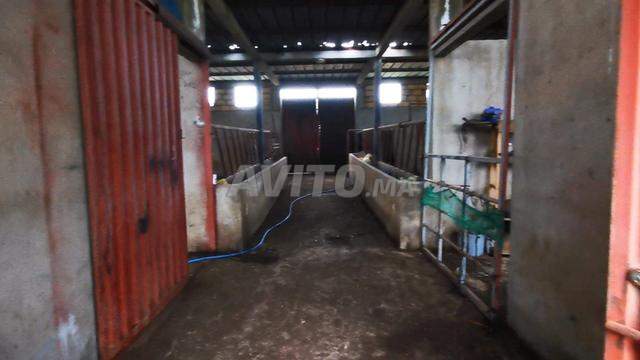 Ferme à vendre environs de Bir Jdid à vendre sur goudron