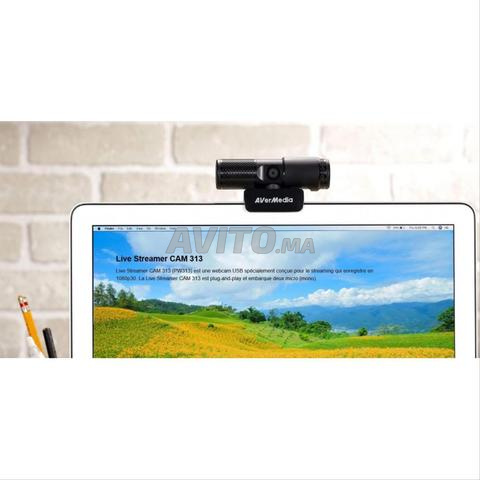 WEBCAM AVERMEDIA PW313 - 2