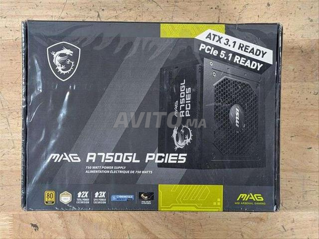 Alimentation MSI MAG A750GL PCIE5 750W - 2
