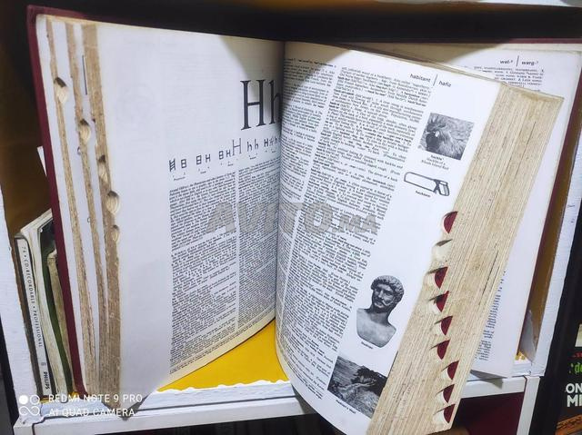 Dictionnaire Anglais Illustré - 2