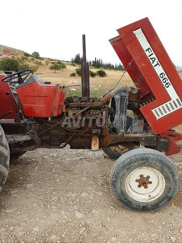 Tracteur Fiat 666 à vendre - 2