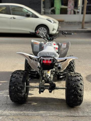 للبيع LPR QUAD TROOPER 250R EXTREM EDITION 2026