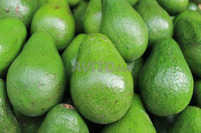 Avocats à bon prix