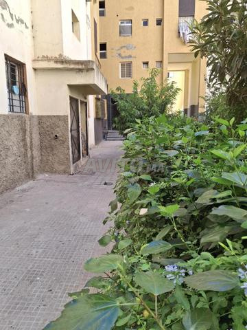 شقة مسجلة الملكية - 2