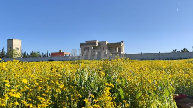 Domaine de 2 hectares avec villa de luxe de 470 m² à Ben Slimane