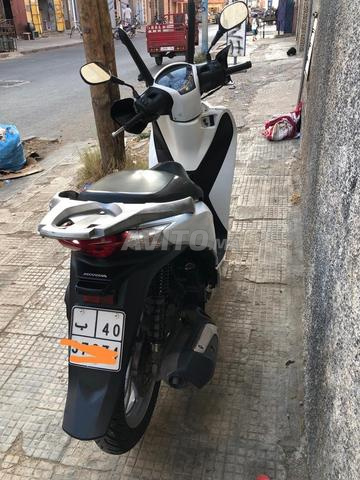 SH 125 propre 2013 - 2