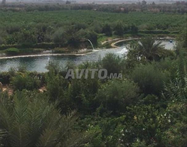 مزرعة رائعة للبيع – مراكش - 2