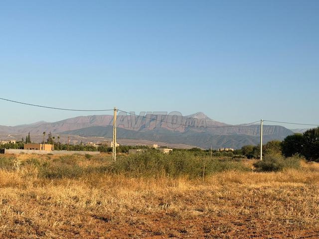 Terrain de 10.000 m2 sur la Route d’Ourika KM 26
