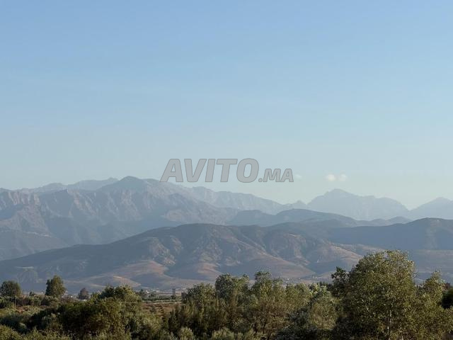 Terrain de 1HA pour Villa ou Maison D'Hotes
