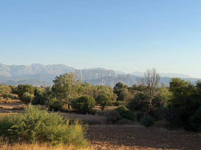 Terrain de 10.000 m2 sur la Route d’Ourika KM 26 - 2