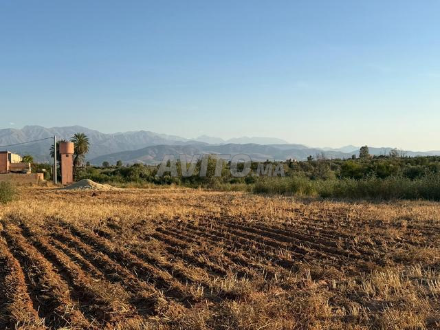 Terrain de 1HA pour Villa ou Maison D'Hotes