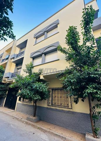 Immeuble avec 3 appartements et un studio - 2