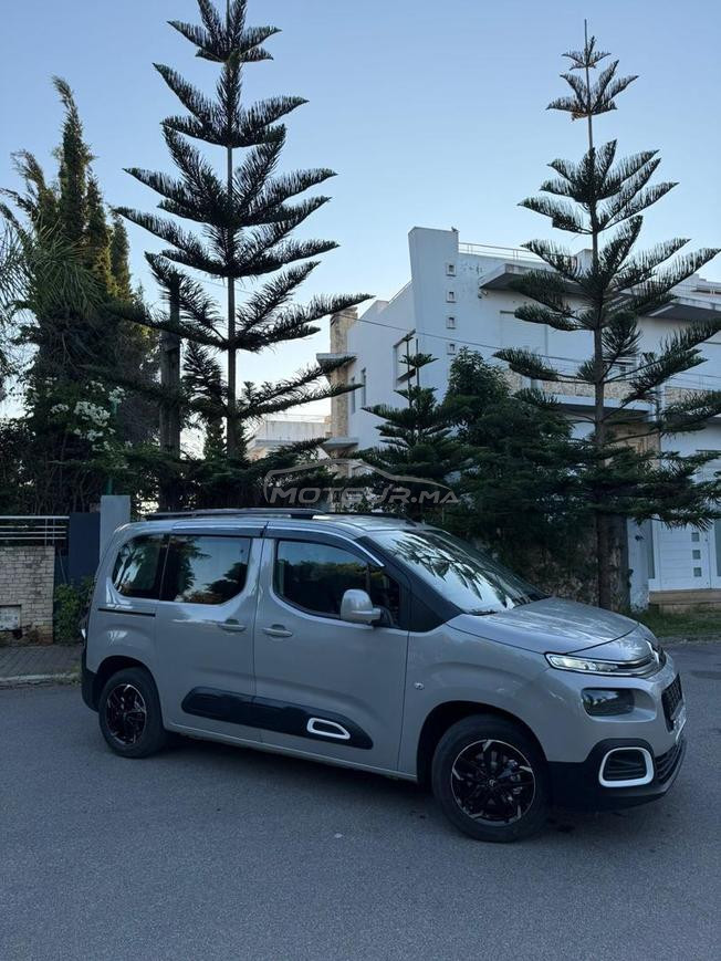 citreon belrlingo 