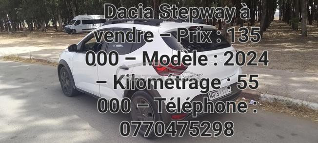 Dacia Logan Diesel Manuelle 2024 à Berrechid