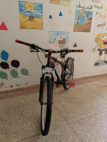 دجاجة هوائية جديدة - 2