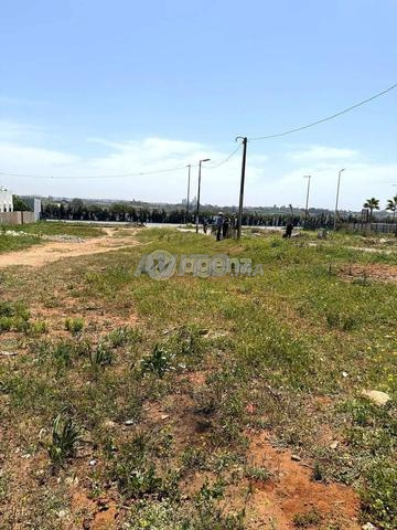 SKH-HA-1010 - Terrain à vendre à Harhoura