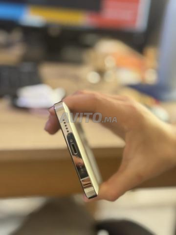 iPhone 13 Pro Max (1TB) - 2