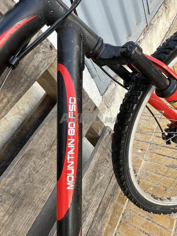 Vélo neuf et pur - 2