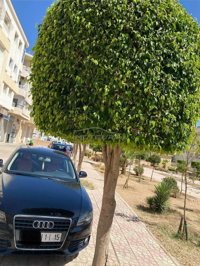 AUDI A4 b8 2LITER