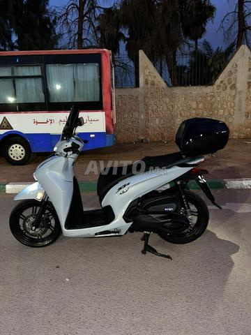 موديل 2025 ديوانة 2026 - 2