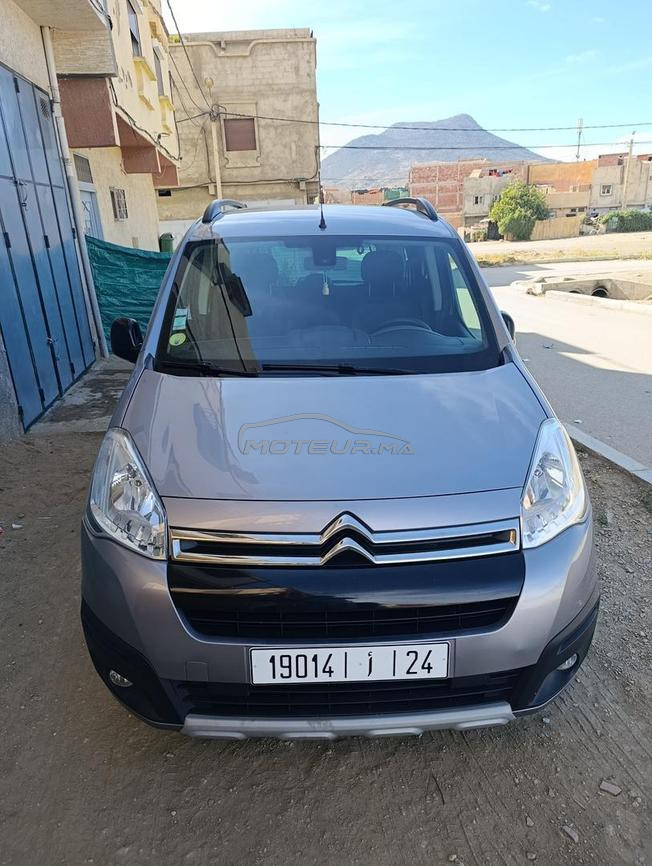 citriôn berlango 2016 diwana 8.2025