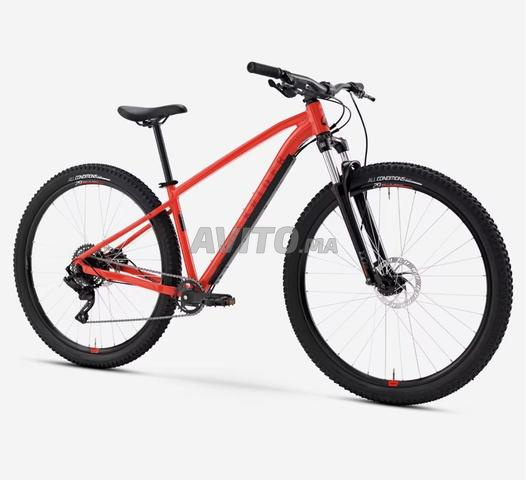 دراجة جبلية VTT للمشي لمسافات طويلة EXPL 500 - 2