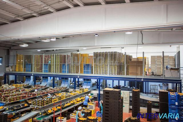 PLATEFORME DE STOCKAGE – GAGNEZ EN ESPACE - 2