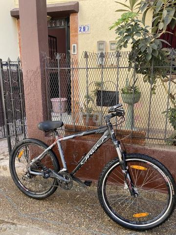 Vélo en très bon état - 800 DH--orbea - 2