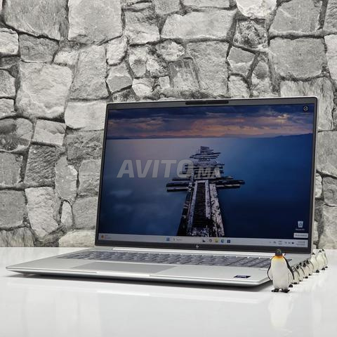 HP EliteBook 660 G11 / Ultra 5 125U