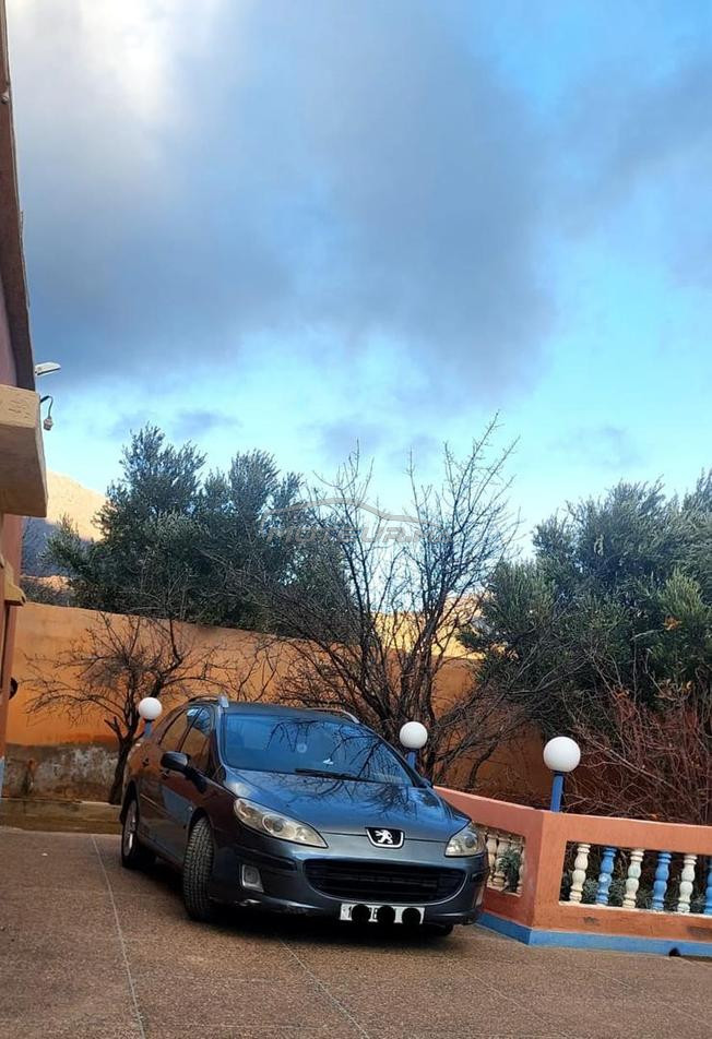 Peugeot 407 SW 2.0 HDi 136ch – Diesel