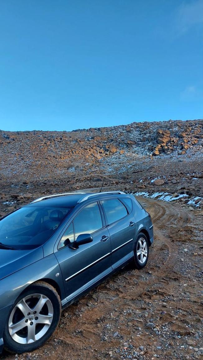 Peugeot 407 SW 2.0 HDi 136ch – Diesel
