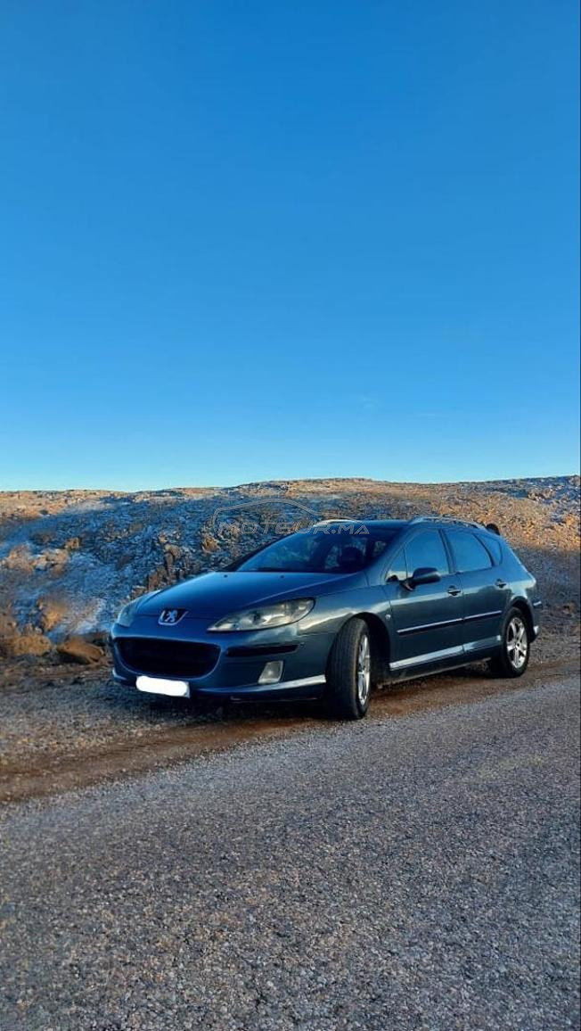 Peugeot 407 SW 2.0 HDi 136ch – Diesel