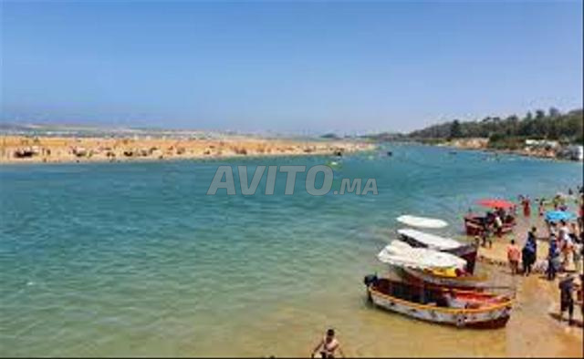مدينة الوليدية - 2
