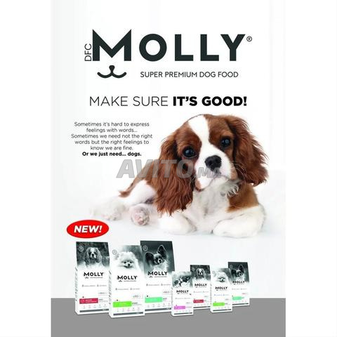 Croquettes Chien Molly Premium Hypoallergénique - 2