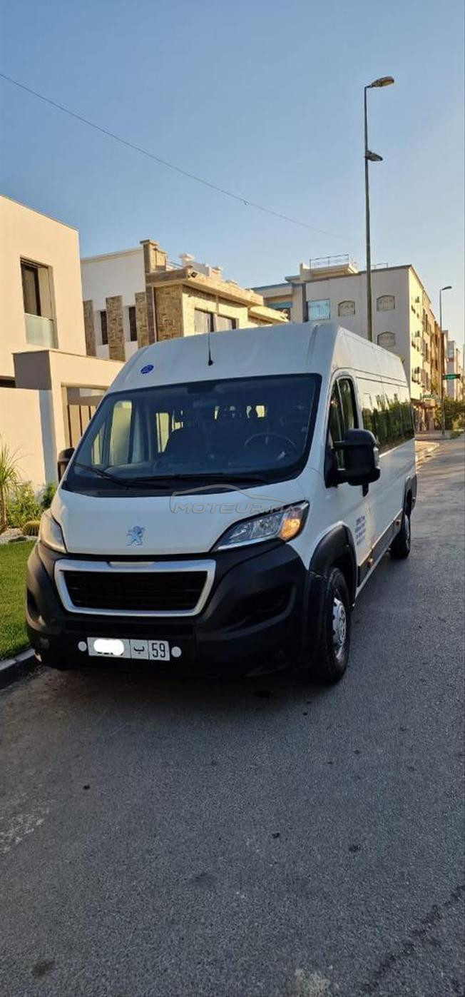 Peugeot Boxer Diesel Manuelle 2020 à Kénitra