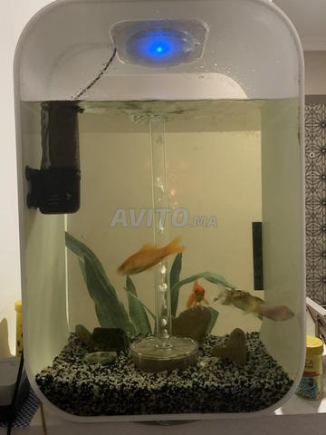 Aquarium design double vitre - 2