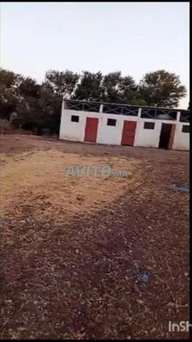 مزرعة سند ملكية - 2