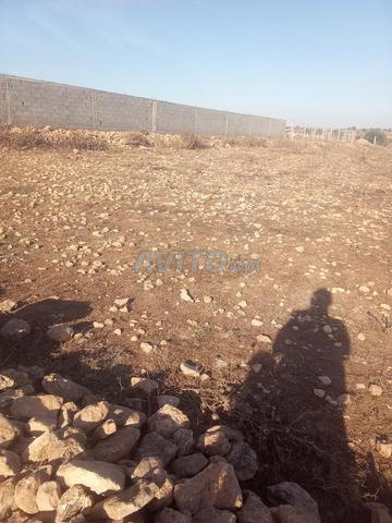 Terrain à vendre 2000 mètres avec route, terrain agricole et résidentiel