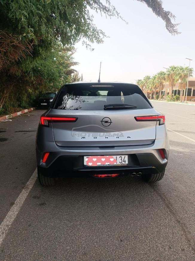 optique Mokka 2025