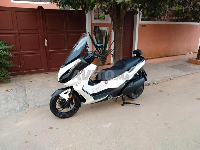 زونتس 350e - 2