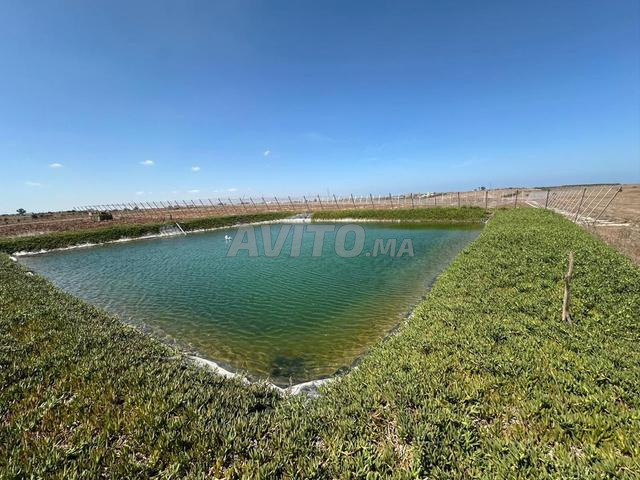 Opportunité à vendre – Ferme agricole 11 hectares - 2