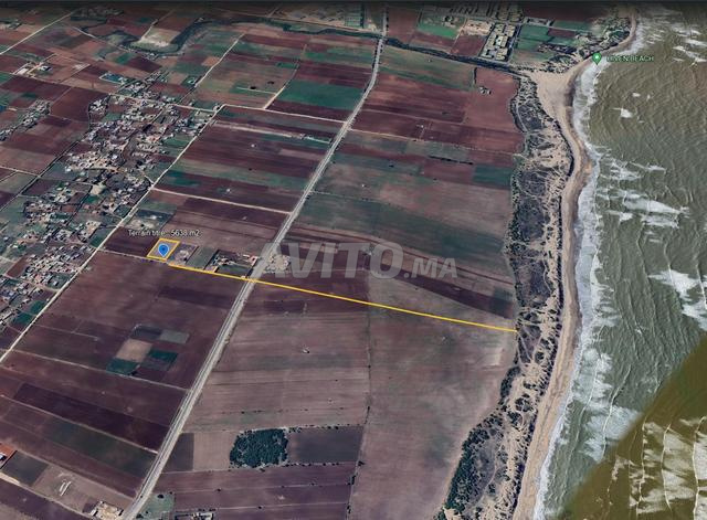 Terrain 5638m2 pour villa - 900m de la plage - 2