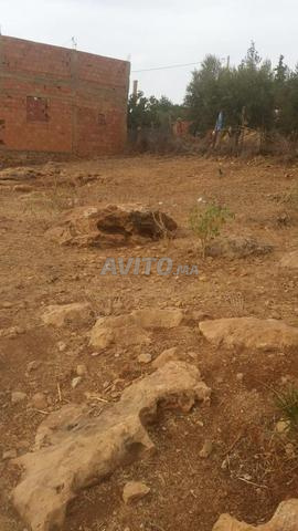 Terrain 400 m² – Aïn Jemaa, proche Mosquée Riafa - 2